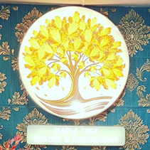 solinom image