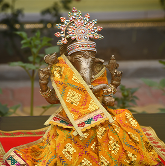 firdip image